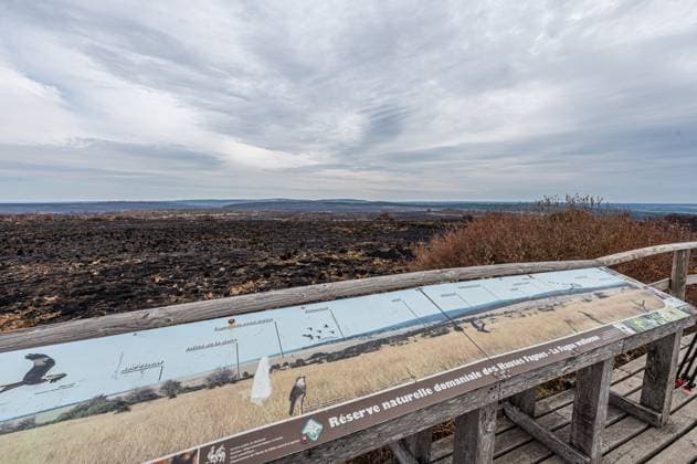 Landscape pictured at a visit at the Botrange panorama deck, in Waimes, on Tuesday 25 August 2026. European commissionner Lahbib visit several sites regarding the fire in the Hautes Fagnes (Hugh Fens) wich started on August 14th with 3000 hectares (on a total of 4500) impacted in the nature reserve.  EMILExWINDAL 184244604