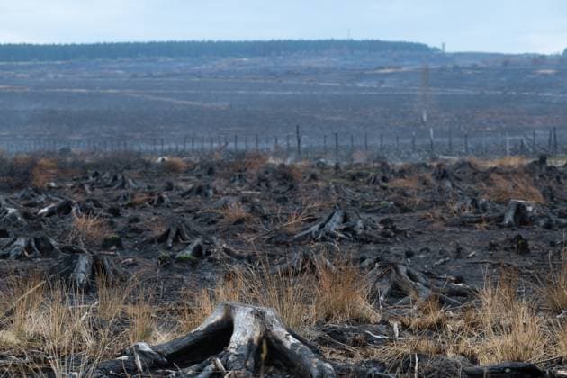 Landscape pictured during a visit at PC-OPS coordination center in Sourbrodt, Waimes, on Tuesday 25 August 2026. European commissionner Lahbib visit several sites regarding the fire in the Hautes Fagnes (Hugh Fens) wich started on August 14th with 3000 hectares (on a total of 4500) impacted in the nature reserve.  EMILExWINDAL 184260914