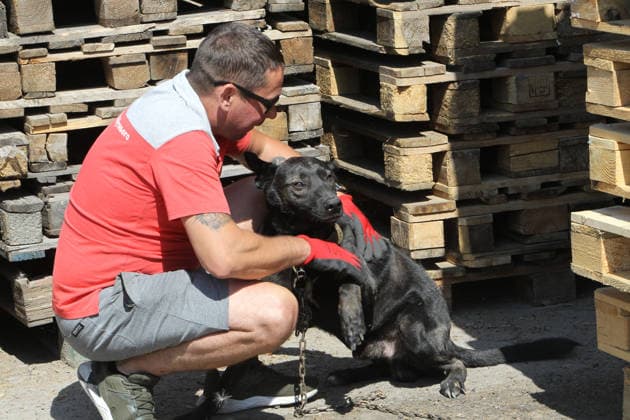 News Bilder des Tages A man pets Tsygan the dog, which lives at a parking lot near the shopping and entertainment centre, after a Russian attack in the suburb of Dnipro, Ukraine, August 25, 2026. Fires broke out inside and near the shopping mall as a result of the Russian attack. (Photo by Mykola Miakshykov Ukrinform) Russian attack hits parking lot near shopping mall in Dnipro suburb  Copyright: xMykolaxMiakshykovx