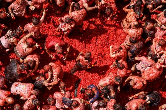 Celebration of La Tomatina in Bunol, Valencia, 2026 Several participants in the La Tomatina festival in Bunol celebrate during the event on August 26, 2026, in Bunol, Valencia, Valencian Community, Spain. La Tomatina is always held on the last Wednesday of August, as part of Bunol’s festival week, and involves participants throwing tomatoes at one another. Seven trucks were needed to transport the 150,000 kilos of tomatoes that were thrown in this unique battle, which this year celebrates its 79th anniversary. AUGUST 26, 2026 FESTIVAL TRADITION CULTURE Bunol, Valencia, Valencian Community Bunol, Valencia, Valencian Community, Spain  Copyright: xRoberxSolsonax 7732787