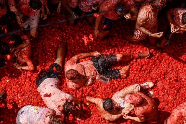 Celebration of La Tomatina in Bunol, Valencia, 2026 Several participants in the La Tomatina festival in Bunol celebrate during the event on August 26, 2026, in Bunol, Valencia, Valencian Community, Spain. La Tomatina is always held on the last Wednesday of August, as part of Bunol’s festival week, and involves participants throwing tomatoes at one another. Seven trucks were needed to transport the 150,000 kilos of tomatoes thrown during this unique battle, which celebrates its 79th anniversary this year. AUGUST 26, 2026 FESTIVAL TRADITION CULTURE Bunol, Valencia, Valencian Community Bunol, Valencia, Valencian Community, Spain  Copyright: xRoberxSolsonax 7732782
