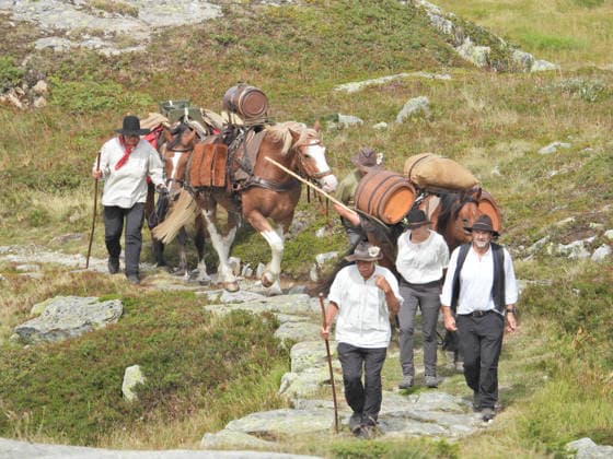 23.08.2026 Schweiz Grimselpass Saeumerfest 23 Jahre Sprinz-Route von Sachseln nach Domodossola.4.Etappe Guttannen - Obergesteln. Bild Die Saeumer mit Pferden im Aufstieg zum Grimselpass. *** August 23, 2026, Switzerland, Grimsel Pass, Saeumerfest (23rd Anniversary), Sprinz Route from Sachseln to Domodossola, Stage 4: Guttannen–Obergesteln. Photo: The Saeumer with their horses on the ascent to the Grimsel Pass 