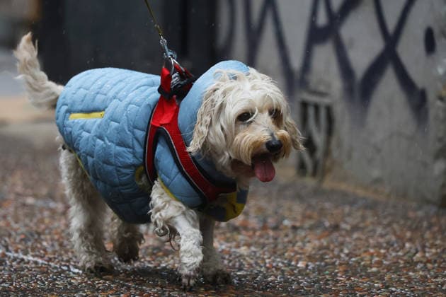 Santiago, August 26, 2026 Frontal system passes through downtown Santiago Jonnathan Oyarzun Aton Chile, Santiago, Chile Aton 1184244  Copyright: JONNATHANxOYARZUN ATONxCHILE