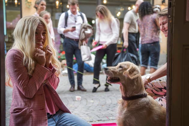 STOCKHOLM20260828 Lovisa Lekfalk välkomnar hundarna innan den öppna audition för hundar för de omtyckta rollerna Bruiser och Rufus till teateruppsättningen Legally Blonde - The musical som har premiär den 16 oktober pa Södra teatern. STOCKHOLM SVERIGE x12270x *** STOCKHOLM20260828 Lovisa Lekfalk welcomes the dogs before the open audition for the popular roles of Bruiser and Rufus in the theater production *Legally Blonde: The Musical*, which premieres on October 16 at Södra Teatern STOCKHOLM SWEDEN x12270x  Copyright: xMartinxPahlmblad TTx AUDITION FÖR HUNDAR KbC6q9VV9z8