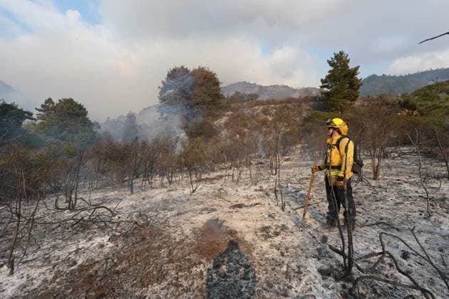 News Bilder des Tages #2 September 1, 2026, Big Sur, California, United States: A firefighter stands on the burnt area..The Plaskett Fire burns near Big Sur, California, after igniting in the Los Padres National Forest on Aug. 26, 2026. The wildfire spread through steep, rugged terrain and dense vegetation, prompting firefighting efforts as smoke and flames moved across the surrounding wilderness. After 6 days of burning, the fire still aggressively spreads and maps more than 28,000 acres. Multiple fire units all across California respond to the scene. Big Sur United States - ZUMAs197 20260901_aaa_s197_282 Copyright: xWaixLeexMichaelxHox
