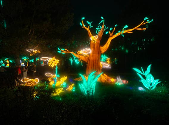 (260902) -- TORONTO, Sept. 2, 2026 -- Guests view light installations during the opening ceremony of the Glow in the Wild show at the Toronto Zoo in Toronto, Canada, on Sept. 1, 2026. (Photo by Xinhua) CANADA-TORONTO-LIGHT INSTALLATIONS-SHOW ZouxZheng 