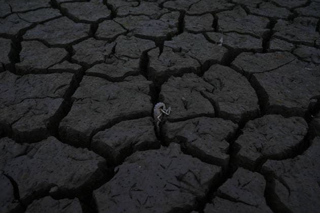 News Bilder des Tages Dry reservoirs signal growing water crisis in Colombia’s Facatativa FACATATIVA, COLOMBIA - SEPTEMBER 4: A dead lobster lies on the dried-out bed of a reservoir in Facatativa, Cundinamarca, Colombia, on September 4, 2026. Prolonged dry conditions have drastically reduced water levels in the municipality’s reservoirs, threatening aquatic life as the region faces a growing water shortage. Facatativá has declared an orange alert and introduced water rationing measures following months of limited rainfall. Juancho Torres Anadolu Facatativa Colombia. Editorial use only. Please get in touch for any other usage.  Copyright: x2026xAnadoluxJuanchoxTorresx
