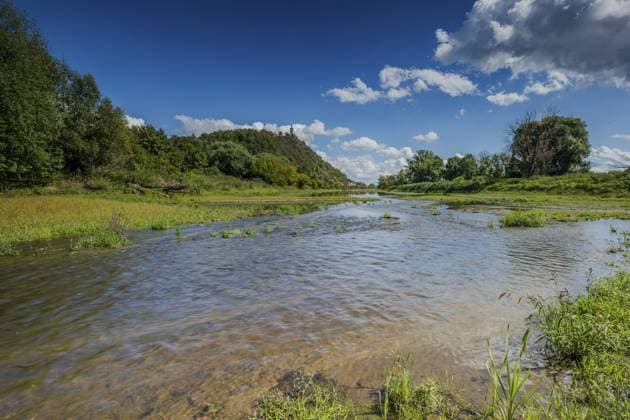 Bei Niedrigwasser ist die Bogener alte Donau größtenteils trocken gelegt. Am Ufer stehen Bäume. Im Hintergrund ist auf dem Bogenberg unter leicht bewölktem Himmel die Wallfahrtskirche Mariä Himmelfahrt erkennbar. Bogen, Niederbayern At low tide, the Bogener Alte Donau is largely drained. There are trees on the shore. In the background, the pilgrimage church of the Assumption of the Virgin can be seen on the Bogenberg under a slightly cloudy sky. Bogen, Lower Bavaria Copyright: imageBROKER JoachimxStingl ibljml18963923.jpg