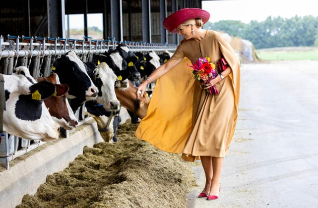 08-09-2026 Drenthe Queen Maxima visited the diary farm of the family Riedstra-Hoving in Veenhuizen, Drenthe. Â  Copyright: xPPEx