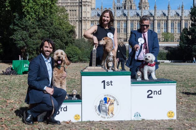 September 10, 2026, London, England, United Kingdom: Anna McMorrin MP and her working cocker spaniel Cadi (1st place), Karl Turner MP and his bichon frise Charlie (2nd place) and Bobby Dean MP with his goldendoodle Chester (3rd place) pose on the podium after being declared the winners of the Westminster Dog of the Year competition. The annual event is a celebration of the unique bond between dogs and their owners, and gives parliamentarians the opportunity to highlight the important work that they ve undertaken in Parliament on dog related matters, whilst promoting responsible dog ownership. London United Kingdom  - ZUMAs371 20260910_zip_s371_007 Copyright: xWiktorxSzymanowiczx