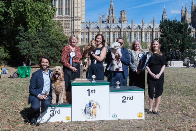 September 10, 2026, London, England, United Kingdom: Anna McMorrin MP and her working cocker spaniel Cadi (1st place), Karl Turner MP and his bichon frise Charlie (2nd place) and Bobby Dean MP with his goldendoodle Chester (3rd place) pose on the podium after being declared the winners of the Westminster Dog of the Year competition. The annual event is a celebration of the unique bond between dogs and their owners, and gives parliamentarians the opportunity to highlight the important work that they ve undertaken in Parliament on dog related matters, whilst promoting responsible dog ownership. London United Kingdom - ZUMAs371 20260910_zip_s371_005 Copyright: xWiktorxSzymanowiczx