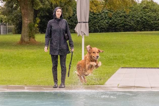 Hundeschwimmen im Freibad Werne ** NUR FÜR REDAKTIONELLE ZWECKE ** EDITORIAL USE ONLY **<p>Am Sonntag, den 13. September 2026 öffnete das Freibad Werne der Wasserwelten Bochum die Tore für das Hundeschwimmen. Deutschland NRW Bochum Copyright: MichaelxSchwalm