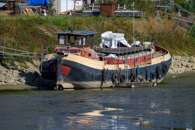 Altes Schiff liegt bei Niedrigwasser auf dem Trockenen , Wörth am Rhein, Deutschland 14.09.2026: Ein altes Motorschiff liegt bei Niedrigwasser des Rheins auf dem Schlamm am Ufer bei Maxau, davor eine flache Restwasserfläche. Symbolbild für Trockenheit.