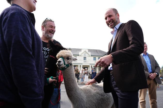 . 15 09 2026. Princetown, United Kingdom. Prince William, the Prince of Wales, meets an alpaca during a visit to Princetown in Dartmoor, United Kingdom, to launch the new Princetown Community Fund.  xPoolx xi-Imagesx IIM-27006-0026