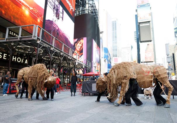 Two life-size buffalo puppets arrive in Times Square ahead of the two-day event Return of the Buffalo: Tatanka Owe Akupi on Tuesday, September 15, 2026 in New York City. The herd of 40 life-sized buffalo puppets will stampede through the streets of Lower Manhattan on September 18 and Downtown Brooklyn on September 19.  NYP20260915122 JOHNxANGELILLO