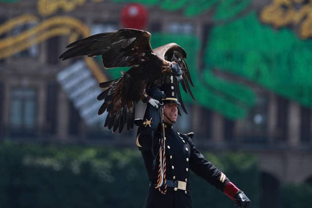 Military Parade Held to Mark Mexico s Independence in Mexico City MEXICO CITY, MEXICO - SEPTEMBER 16: A member of the Mexican Army holds an eagle during a military parade marking the 216th anniversary of Mexico s Independence, at the Zocalo square, in Mexico City, Mexico on September 16, 2026. Daniel Cardenas Anadolu Mexico City Mexico. Editorial use only. Please get in touch for any other usage.  Copyright: x2026xAnadoluxDanielxCardenasx