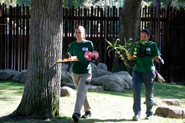 September 19, 2026, Madrid, Community Of Madrid, Spain: Two female ZOOKEEPERS place a special birthday cake made of fresh bamboo, decorative fruits, and a Happy Birthday sign written in Chinese on the grass, preparing the enclosure for giant panda JIN XI (not pictured) at the Zoo Aquarium de Madrid on Saturday, September 19, 2026, in Madrid, Spain. The male panda, who turns six years old, is expected to arrive shortly to enjoy the treat. Born on September 1, 2020, JIN XI arrived in Spain in April 2024 from the Chengdu Giant Panda Breeding Base in China. The weekend celebration highlights the strong international cooperation between Spain and China regarding the conservation, research, and breeding of this emblematic species. Madrid Spain - ZUMAo127 20260919_zep_o127_066 Copyright: xHugoxOrtunox