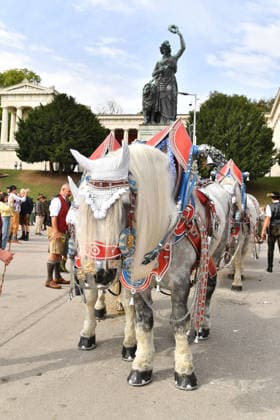 Pferde Wiesn 2026 SixtWiesn 3. Tag Theresienwiese Festzelt Schützenfesthalle Oktoberfest München 21. Sept. 2026