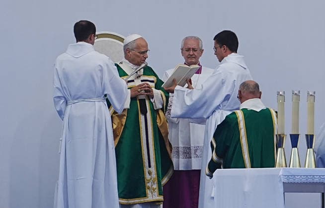 NEWS le Pape Leon XIV au Scanctuaire de Lourdes- - 27 09 2026 LOURDES, FRANCE SEPTEMBER 27: Pope Leo XIV during Mass at the Sanctuary of Lourdes. This trip marks the first visit by a pope to this European country since that of Benedict XVI in 2008.in Lourdes Photo: Laurent Lairys. LourdesFrance  Copyright: xLaurentxLairysx
