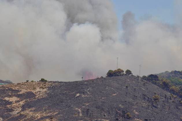 Forest Fire in Igualeja, Málaga Images of the forest fire in Igualeja, Málaga September 27, 2026 Á Igualeja, Málaga Igualeja, Málaga, Spain  Copyright: xÃlexxZeax 7804307