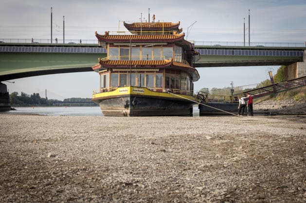 Extremes Niedrigwasser legt China-Schiff in Bonn-Beuel frei Bonn-Beuel, 26.09.2026 Zwei junge Menschen balancieren auf dem trockenliegenden Stahlseil, mit dem das ehemalige China-Restaurantschiff Ocean Paradise am Beueler Rheinufer fest vertäut ist. Das Schiff ist im Hintergrund von vorne zu sehen. Durch den extrem niedrigen Wasserstand des Rheins liegt der Bereich vor dem Schiff vollständig trocken. Der außergewöhnlich niedrige Rheinpegel macht die sonst unter Wasser liegende Vertäuung sichtbar. Bonn Beuel Nordrhein-Westfalen Deutschland