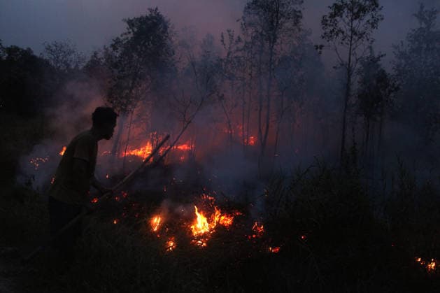 Wildfires rage Indonesia s Palembang PALEMBANG, INDONESIA - SEPTEMBER 28 : A man try to extinguish wildfires near his house at Sematang Borang district in Palembang, South Sumatera, Indonesia on September 28, 2026. For weeks, Indonesia has been battling fires that have burned vast swathes of forest and peat ecosystems, causing toxic haze to blanket parts of the country, Malaysia and Singapore. Some 175,000 people in Indonesia have suffered from respiratory illness since August, its health ministry said, as it continues to battle wildfires that have raged for weeks. Muhammad Fajri Anadolu Palembang Indonesia. Editorial use only. Please get in touch for any other usage. Copyright: x2026xAnadoluxMuhammadxFajrix