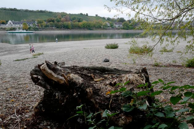 Fährbetrieb eingestellt 28.09.2026 Aufgrund Niedrigwasser ragen aus dem Rhein bei Kornsand und Nierstein Sandbänke aus dem Wasser. Bei diesem geringen Wasserpegel kann die Fahrzeugfähre nicht mehr anlegen. Baggerarbeiten zwecks Verlegen des Sandes waren nicht erfolgreich. Der Fährbetrieb wurde bis auf weiteres eingestellt. Nach Mainz oder Worms muss eine andere Überfahrt erfolgen Kornsand Hessen Deutschland