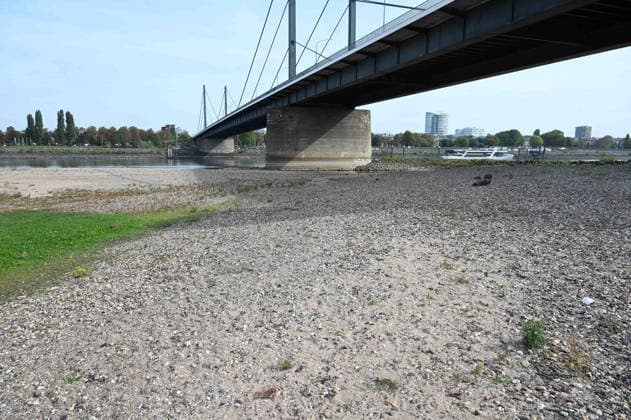 Das Niedrigwasser im Rhein hat eine grosse Sandbank freigelegt, rechts die Theodor Heuss Bruecke, , Niedrigwasser im Rhein bei Duesseldorf, Duesseldorf am 28.09.2026,