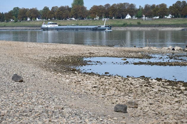 Das Niedrigwasser im Rhein hat eine grosse Sandbank freigelegt, Steine und Sand am Ufer,, ein Frachtschiff faehrt in der Fahrrinne, nahe der Theodor Heuss Bruecke, , Niedrigwasser im Rhein bei Duesseldorf, Duesseldorf am 28.09.2026,