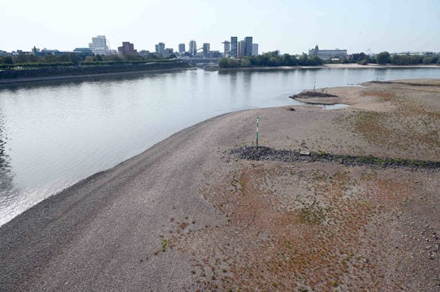 Das Niedrigwasser im Rhein hat eine grosse Sandbank freigelegt, Steine und Sand am Ufer, gesehen von der Rheinkniebruecke, Niedrigwasser im Rhein bei Duesseldorf, Duesseldorf am 28.09.2026,