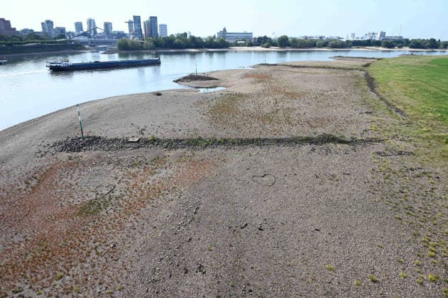Das Niedrigwasser im Rhein hat eine grosse Sandbank freigelegt, Steine und Sand am Ufer, gesehen von der Rheinkniebruecke, ein Frachtschiff faehrt in der Fahrrinne, Niedrigwasser im Rhein bei Duesseldorf, Duesseldorf am 28.09.2026,