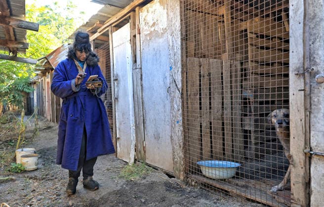 Olha Shylimina, head of the Loving Hearts animal shelter, stands by surviving enclosures for dogs in the Odesa region, Ukraine, September 29, 2026. During a nighttime Russian drone strike, the roof of the building - covering more than 400 square metres - was hit. The fire destroyed the premises along with stocks of grain, medicines, warm blankets, bowls, and other critical supplies. Thirteen animals - 10 cats and three dogs - died as a result of the strike and ensuing fire. (Photo by Nina Liashonok Ukrinform) Russia strikes animal shelter near Odesa Copyright: xNinaxLiashonokx