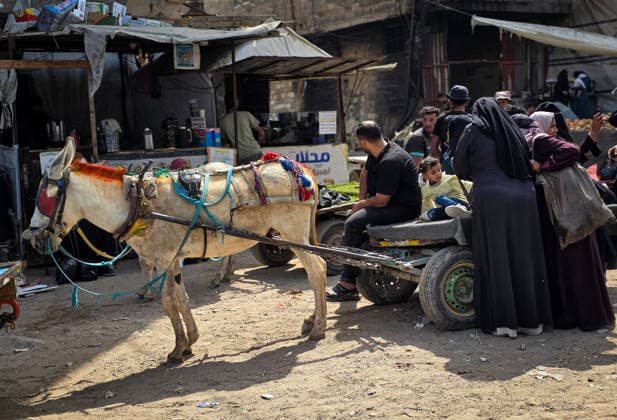 Palestinians Use Animal-Drawn Carts Amid Gaza Transport Crisis Palestinians ride animal-drawn carts to transport people and goods in Khan Younis, in the southern Gaza Strip, on September 29, 2026, amid a severe transportation crisis. Many vehicles were damaged during the war, while shortages of fuel, spare parts, oils and lubricants have forced more vehicles out of service, prompting residents to rely on basic forms of transport. Photo by Tariq Mohammad APA Images Khan Yunis Gaza Strip Palestinian Territory 290926_Khan_Yunis_TM_00(9) Copyright: xapaimagesxTariqxMohammad xapaimagesx