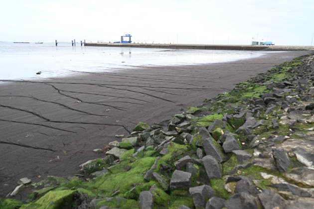 Militärhafen für die Marine soll iam Rysumer Nacken entstehen. Blick auf den Rysumer Nacken . Ein neuer Militärhafen für die Marine soll im ostfriesischen Emden entstehen. Für den neuen Marinehafen werden 40 Hektar mit Option auf weitere 10 Hektar benötigt. Der neue Marinehafen soll Liegeplätze für sieben Fregatten, zehn Minensucher und zehn Schlepper bieten. Eine vierstellige Zahl an Soldaten und zivilen Mitarbeitern soll dort voraussichtlich arbeiten. Die offizielle Verkündung wird für Montag erwartet. Emden Niedersachsen Deutschland