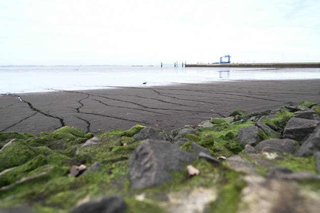 Militärhafen für die Marine soll iam Rysumer Nacken entstehen. Blick auf den Rysumer Nacken . Ein neuer Militärhafen für die Marine soll im ostfriesischen Emden entstehen. Für den neuen Marinehafen werden 40 Hektar mit Option auf weitere 10 Hektar benötigt. Der neue Marinehafen soll Liegeplätze für sieben Fregatten, zehn Minensucher und zehn Schlepper bieten. Eine vierstellige Zahl an Soldaten und zivilen Mitarbeitern soll dort voraussichtlich arbeiten. Die offizielle Verkündung wird für Montag erwartet. Emden Niedersachsen Deutschland