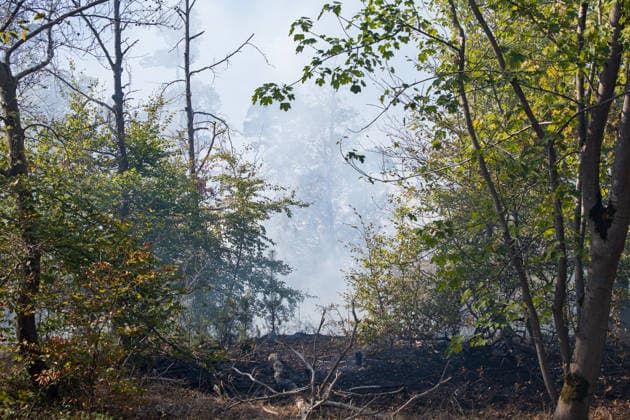 Waldbrand auf rund 12.600 Quadratmetern Munitionsbelastung erschwert Löscharbeiten Am 30.09.2026 war ein Waldbrand westlich von Darmstadt-Eberstadt auf einer Fläche von zeitweise rund 12.600 Quadratmetern unter Kontrolle. Das Bodenfeuer lag nördlich der Justizvollzugsanstalt Eberstadt im Bereich der Jäger- und Buckelschneise. Der munitionsbelastete Waldbereich erschwerte die Löscharbeiten, während Glutnester weiterhin aufflammen konnten. Wegen möglicher instabiler Bäume blieb die Feuerwehr mit insgesamt 90 Einsatzkräften bis in die späten Abendstunden vor Ort. Die Brandursache war unklar. Darmstadt Eberstadt Hessen Deutschland