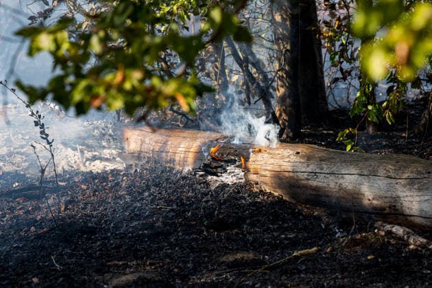 Waldbrand auf rund 12.600 Quadratmetern Munitionsbelastung erschwert Löscharbeiten Am 30.09.2026 war ein Waldbrand westlich von Darmstadt-Eberstadt auf einer Fläche von zeitweise rund 12.600 Quadratmetern unter Kontrolle. Das Bodenfeuer lag nördlich der Justizvollzugsanstalt Eberstadt im Bereich der Jäger- und Buckelschneise. Der munitionsbelastete Waldbereich erschwerte die Löscharbeiten, während Glutnester weiterhin aufflammen konnten. Wegen möglicher instabiler Bäume blieb die Feuerwehr mit insgesamt 90 Einsatzkräften bis in die späten Abendstunden vor Ort. Die Brandursache war unklar. Darmstadt Eberstadt Hessen Deutschland