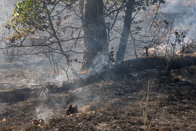Waldbrand auf rund 12.600 Quadratmetern Munitionsbelastung erschwert Löscharbeiten Am 30.09.2026 war ein Waldbrand westlich von Darmstadt-Eberstadt auf einer Fläche von zeitweise rund 12.600 Quadratmetern unter Kontrolle. Das Bodenfeuer lag nördlich der Justizvollzugsanstalt Eberstadt im Bereich der Jäger- und Buckelschneise. Der munitionsbelastete Waldbereich erschwerte die Löscharbeiten, während Glutnester weiterhin aufflammen konnten. Wegen möglicher instabiler Bäume blieb die Feuerwehr mit insgesamt 90 Einsatzkräften bis in die späten Abendstunden vor Ort. Die Brandursache war unklar. Darmstadt Eberstadt Hessen Deutschland