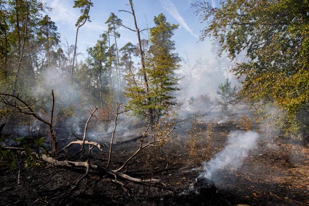 Waldbrand auf rund 12.600 Quadratmetern Munitionsbelastung erschwert Löscharbeiten Am 30.09.2026 war ein Waldbrand westlich von Darmstadt-Eberstadt auf einer Fläche von zeitweise rund 12.600 Quadratmetern unter Kontrolle. Das Bodenfeuer lag nördlich der Justizvollzugsanstalt Eberstadt im Bereich der Jäger- und Buckelschneise. Der munitionsbelastete Waldbereich erschwerte die Löscharbeiten, während Glutnester weiterhin aufflammen konnten. Wegen möglicher instabiler Bäume blieb die Feuerwehr mit insgesamt 90 Einsatzkräften bis in die späten Abendstunden vor Ort. Die Brandursache war unklar. Darmstadt Eberstadt Hessen Deutschland