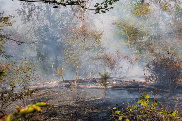 Waldbrand auf rund 12.600 Quadratmetern Munitionsbelastung erschwert Löscharbeiten Am 30.09.2026 war ein Waldbrand westlich von Darmstadt-Eberstadt auf einer Fläche von zeitweise rund 12.600 Quadratmetern unter Kontrolle. Das Bodenfeuer lag nördlich der Justizvollzugsanstalt Eberstadt im Bereich der Jäger- und Buckelschneise. Der munitionsbelastete Waldbereich erschwerte die Löscharbeiten, während Glutnester weiterhin aufflammen konnten. Wegen möglicher instabiler Bäume blieb die Feuerwehr mit insgesamt 90 Einsatzkräften bis in die späten Abendstunden vor Ort. Die Brandursache war unklar. Darmstadt Eberstadt Hessen Deutschland
