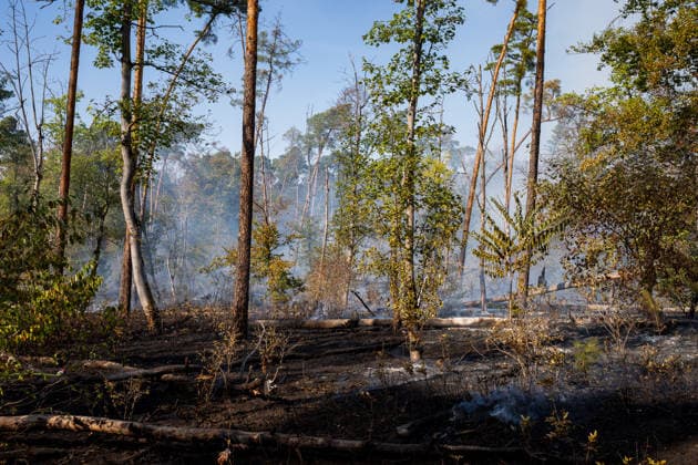 Waldbrand auf rund 12.600 Quadratmetern Munitionsbelastung erschwert Löscharbeiten Am 30.09.2026 war ein Waldbrand westlich von Darmstadt-Eberstadt auf einer Fläche von zeitweise rund 12.600 Quadratmetern unter Kontrolle. Das Bodenfeuer lag nördlich der Justizvollzugsanstalt Eberstadt im Bereich der Jäger- und Buckelschneise. Der munitionsbelastete Waldbereich erschwerte die Löscharbeiten, während Glutnester weiterhin aufflammen konnten. Wegen möglicher instabiler Bäume blieb die Feuerwehr mit insgesamt 90 Einsatzkräften bis in die späten Abendstunden vor Ort. Die Brandursache war unklar. Darmstadt Eberstadt Hessen Deutschland
