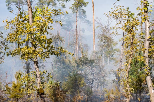 Waldbrand auf rund 12.600 Quadratmetern Munitionsbelastung erschwert Löscharbeiten Am 30.09.2026 war ein Waldbrand westlich von Darmstadt-Eberstadt auf einer Fläche von zeitweise rund 12.600 Quadratmetern unter Kontrolle. Das Bodenfeuer lag nördlich der Justizvollzugsanstalt Eberstadt im Bereich der Jäger- und Buckelschneise. Der munitionsbelastete Waldbereich erschwerte die Löscharbeiten, während Glutnester weiterhin aufflammen konnten. Wegen möglicher instabiler Bäume blieb die Feuerwehr mit insgesamt 90 Einsatzkräften bis in die späten Abendstunden vor Ort. Die Brandursache war unklar. Darmstadt Eberstadt Hessen Deutschland