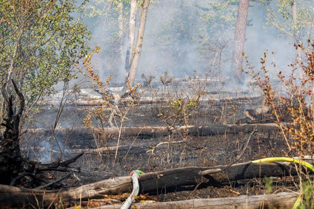 Waldbrand auf rund 12.600 Quadratmetern Munitionsbelastung erschwert Löscharbeiten Am 30.09.2026 war ein Waldbrand westlich von Darmstadt-Eberstadt auf einer Fläche von zeitweise rund 12.600 Quadratmetern unter Kontrolle. Das Bodenfeuer lag nördlich der Justizvollzugsanstalt Eberstadt im Bereich der Jäger- und Buckelschneise. Der munitionsbelastete Waldbereich erschwerte die Löscharbeiten, während Glutnester weiterhin aufflammen konnten. Wegen möglicher instabiler Bäume blieb die Feuerwehr mit insgesamt 90 Einsatzkräften bis in die späten Abendstunden vor Ort. Die Brandursache war unklar. Darmstadt Eberstadt Hessen Deutschland