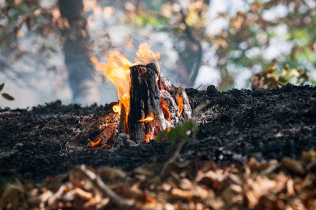 Waldbrand auf rund 12.600 Quadratmetern Munitionsbelastung erschwert Löscharbeiten Am 30.09.2026 war ein Waldbrand westlich von Darmstadt-Eberstadt auf einer Fläche von zeitweise rund 12.600 Quadratmetern unter Kontrolle. Das Bodenfeuer lag nördlich der Justizvollzugsanstalt Eberstadt im Bereich der Jäger- und Buckelschneise. Der munitionsbelastete Waldbereich erschwerte die Löscharbeiten, während Glutnester weiterhin aufflammen konnten. Wegen möglicher instabiler Bäume blieb die Feuerwehr mit insgesamt 90 Einsatzkräften bis in die späten Abendstunden vor Ort. Die Brandursache war unklar. Darmstadt Eberstadt Hessen Deutschland
