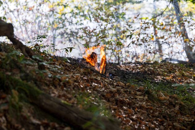 Waldbrand auf rund 12.600 Quadratmetern Munitionsbelastung erschwert Löscharbeiten Am 30.09.2026 war ein Waldbrand westlich von Darmstadt-Eberstadt auf einer Fläche von zeitweise rund 12.600 Quadratmetern unter Kontrolle. Das Bodenfeuer lag nördlich der Justizvollzugsanstalt Eberstadt im Bereich der Jäger- und Buckelschneise. Der munitionsbelastete Waldbereich erschwerte die Löscharbeiten, während Glutnester weiterhin aufflammen konnten. Wegen möglicher instabiler Bäume blieb die Feuerwehr mit insgesamt 90 Einsatzkräften bis in die späten Abendstunden vor Ort. Die Brandursache war unklar. Darmstadt Eberstadt Hessen Deutschland