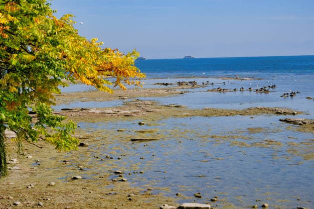 Bodensee, Herbststimmung mit Niedrigwasser bei der Insel Mainau