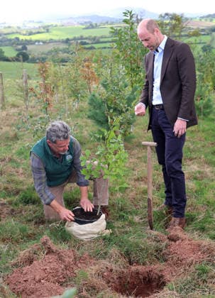 The Prince Of Wales Visits Monmouthshire And Herefordshire ABERGAVENNY, WALES - OCTOBER 01: Prince William, Prince Of Wales (R) joins volunteers participating in a seed collection activity and hears about the progress towards the goal of planting one million trees during his visit to meet representatives from charity Stump Up For Trees, a charity which aims to plant 1 million native trees across South Wales, at White Castle Farm on October 01, 2026 in Abergavenny, Wales. The Prince of Wales visited the region to meet with those tackling the threat of flooding caused by extreme weather conditions., Credit:Chris Jackson PA ROTA - B68 Avalon United Kingdom, Wales, Abergavenny  Copyright: xChrisxJacksonx xPAxROTAx-xB68x xAvalonx 1139788290