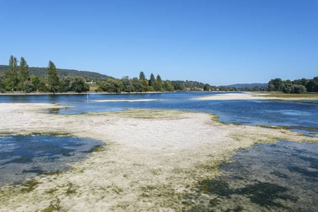 Blick über den extremen Niedrigwasser führenden Rhein zur Halbinsel Höri, Eschenz, Kanton Thurgau, Schweiz View across the extremely low-water Rhine to the Höri Peninsula, Eschenz, Canton of Thurgau, Switzerland Copyright: imageBROKER MarkusxKeller ibxmkl19266977.jpg