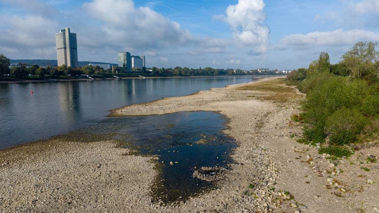 Niedrigwasser legt Rheinufer in Bonn-Ramersdorf frei Bonn, 02.10.2026: Ausgetrockneter Uferbereich des Rheins in Bonn-Ramersdorf. Wegen des weiterhin niedrigen Wasserstands sind große Teile des sonst vom Rhein bedeckten Uferbereichs sichtbar. Am Pegel Bonn wurde am 2. Oktober 2026 gegen 00:30 Uhr ein Wasserstand von rund 61 Zentimetern gemessen. Zum Vergleich: Der mittlere Wasserstand am Pegel Bonn liegt bei etwa 311 Zentimetern. Bonn Ramersdorf Nordrhein-Westfalen Deutschland