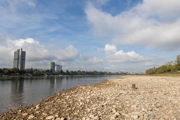 Niedrigwasser legt Rheinufer in Bonn-Ramersdorf frei Bonn, 02.10.2026: Ausgetrockneter Uferbereich des Rheins in Bonn-Ramersdorf. Wegen des weiterhin niedrigen Wasserstands sind große Teile des sonst vom Rhein bedeckten Uferbereichs sichtbar. Am Pegel Bonn wurde am 2. Oktober 2026 gegen 00:30 Uhr ein Wasserstand von rund 61 Zentimetern gemessen. Zum Vergleich: Der mittlere Wasserstand am Pegel Bonn liegt bei etwa 311 Zentimetern. Bonn Ramersdorf Nordrhein-Westfalen Deutschland